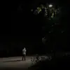 braydenhaakenson - @braydenhaakenson7 - TikTok