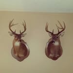 Brian Hadden - @brianhadden186 - Instagram