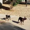 Brian Hancock - @brianhancock56 - TikTok