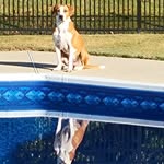 Bryan Hancock - @bryan.hancock.549 - Instagram