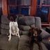 Bryan Hand - Facebook