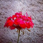 Bryan Hand - @oziomachinwendu - Instagram