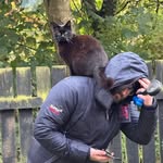 Bryan Hand - @bryanhand - Instagram