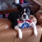 Brian Hannon - @hannon9620 - Instagram