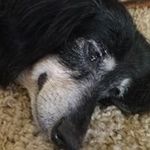 Bryan Hanson - @bryan.hanson - Instagram