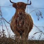 Bryan Hanson - @vmaxrider88 - Instagram