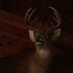 Bryan Hanson - @bryanhanson31 - Instagram