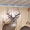 Bryan Hanson - @bryanhanson798 - TikTok