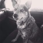 Bryan Harrell - @bryan_h54 - Instagram