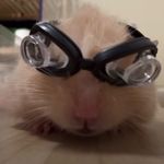 Bryan Harrison - @bryanharrison877 - Instagram
