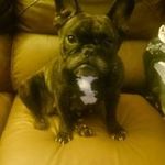 Bryan Harrison - @bryan.harrison.6666 - Instagram