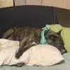 Bryan Harrison - @bryan.harrison81 - TikTok