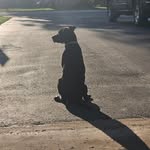 Bryan Harter - @harter.bryan - Instagram