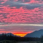 Bryan Harter - @harter71 - Instagram