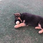Bryan Hatch - @bryan.hatch7 - Instagram