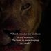 Bryan Heinrich - Facebook