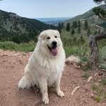 Bryan Hermann - @bryan.hermann.35 - Instagram