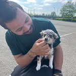 Bryan Hermann Bacheley - @_nashio - Instagram