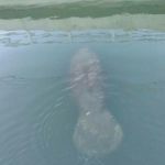bryan herring - @bryanherring309 - Instagram