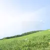 bryanherring356 - @bryanherring356 - TikTok