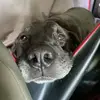 Bryan Dankhoff - @bryan.dankhoff - TikTok