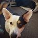 Bryan Horner - Facebook