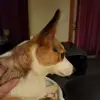 Bryan Horner - @bryan.horner - TikTok