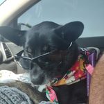 Bryan Hoskins - @fireriverrat505 - Instagram