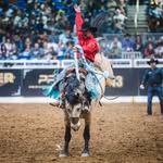 Bryan Huey - @bryanhuey - Instagram