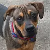 Bryan Hurst - @bryan.hurst - TikTok