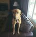 Brian Ickes - Facebook