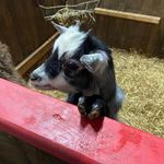 Bryan Irvine - @bryan20022013 - Instagram