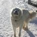 Bryan Jacobsen - Facebook