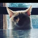 Bryan Johnny - @jackrabbitcustom - Instagram
