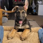 Bryan Joiner - Facebook