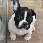 Bryan Kaus - @kausbryan - Instagram