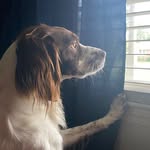 Bryan Knotts - @knotts_bryan - Instagram