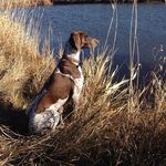 Bryan Krueger - @bryan.krueger.75 - Instagram