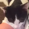 bkrumwiede - @bkrumwiede - TikTok