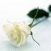 RIP Bryan Ao Kwan Yip - Facebook