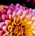 Bryan Lanning  - Facebook