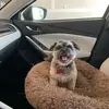 Bryan Larsen - @bryanlarsen - TikTok