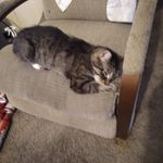 Bryan Layton - @bryanlayton9 - Instagram