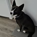 Brian Leger - @brian.leger.92 - Instagram