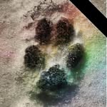 Bryan L Leger - @bryanlleger - Instagram