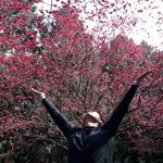 Bryan Liang - @bryan_liang_ - Instagram