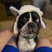 Bryan Lindsay - Facebook