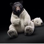 Bryan Lockwood - @bryan_lkw1 - Instagram