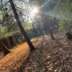 Bryan Madinger - @bry_mad0 - Instagram