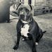 Brian Maloney - Facebook